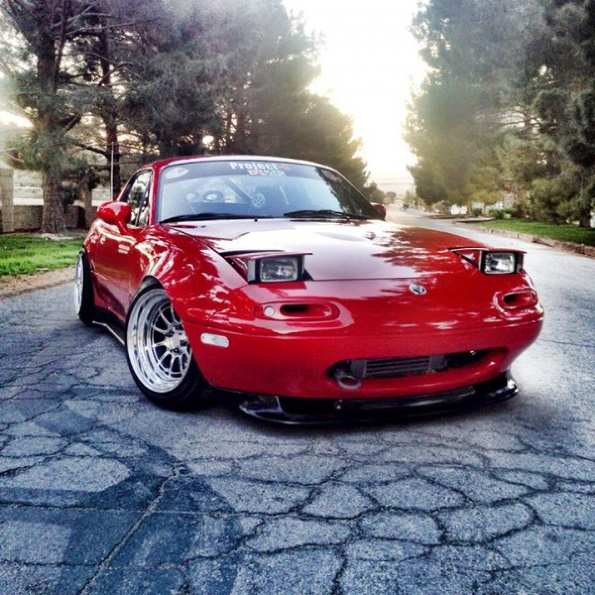 Low Profile Headlights